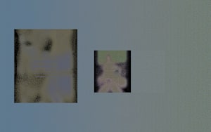 In His Image (13)