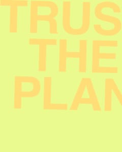 TRUST THE PLAN
