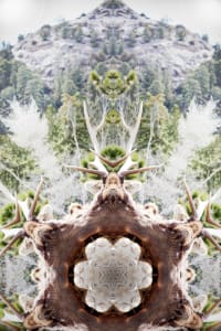 Healing Spirit Mandala Elk with Old Man Mountain