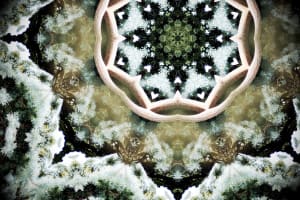 Healing Life Elk Mandala