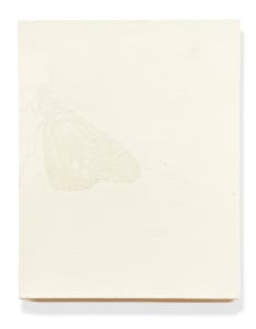 Monarch Butterfly in Ivory White