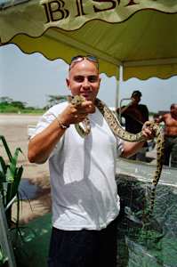 Untitled (Snake)