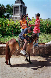 Untitled (Small Horse)