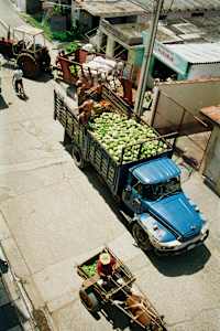 Untitled (Fruit Truck)