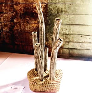 Papilliferous Riftia