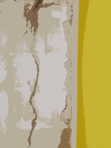 Lemons