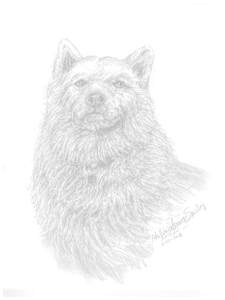 Dog with Collar