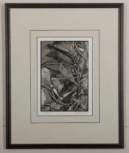 Seaweed (Version 2)