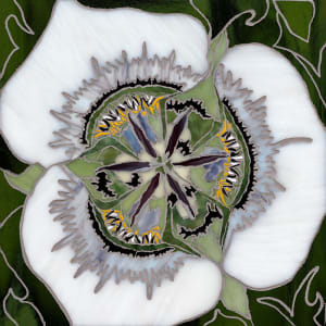 Gunnison's Mariposa Lily