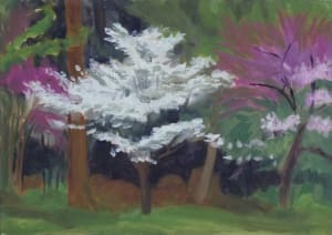 Dogwoods For My Mother