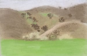 Side of the Road Landscape