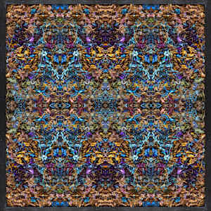 Alignocturne