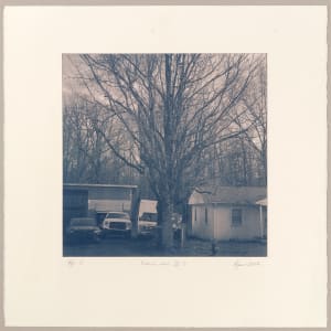 The Medicine Show III.9-3