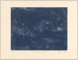 Í viðjum / Bound N°19, 2024, cyanotype photographs 1/12