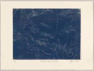 Í viðjum / Bound N°22, 2024, cyanotype photographs 1/12