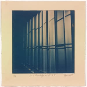 Not a knowledge at all I.5 – generated cyanotype photograph 1/12