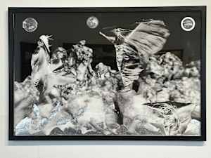 Qdai Herstory (Big Obsidian Flow)