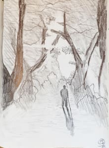 Walking in the Forest