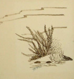 Windsong Rock