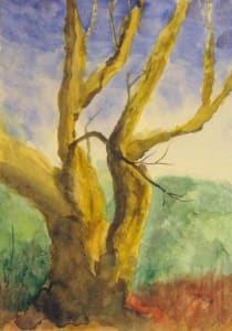 Trees Again