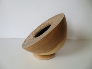 Ash hollow form
