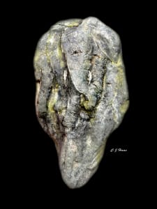 Elephant Dance