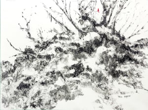 A Rocky Knoll