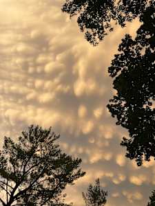 Mammatus Clouds