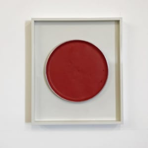 Pigment Circles Series