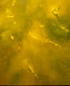 When the West Wind Moves