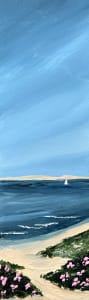 Lighthouse Beach Sail #3
