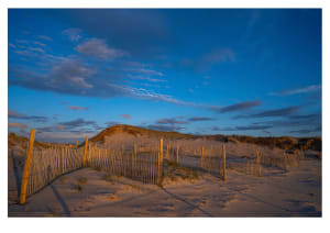 Chapin Fences