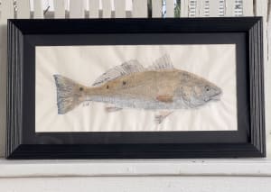 Red Drum IV