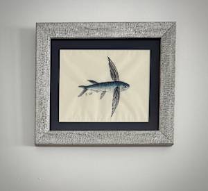 Flying Fish IV
