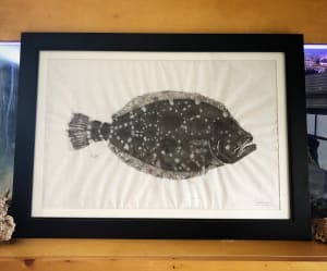 Southern Flounder