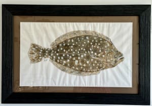 Southern Flounder I
