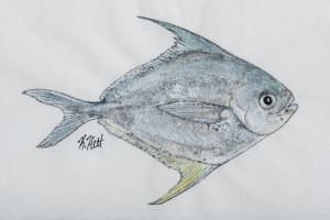 Harvestfish I