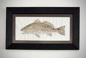 Redfish IV