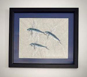 School of Flying Fish