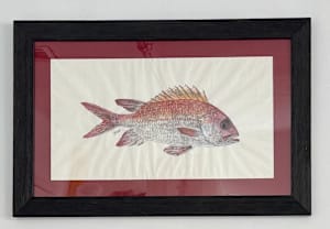 Squirrel Fish