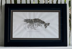 Black Tiger Prawn
