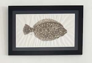 Southern Flounder