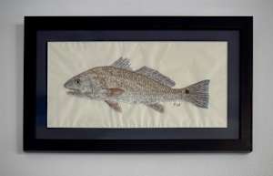 Redfish I