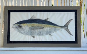 Blackfin Tuna