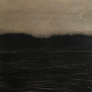 Disturbance
