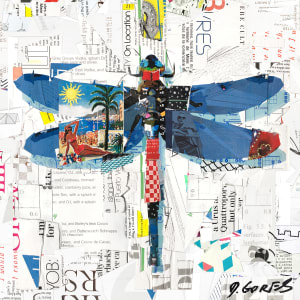 Dragonfly on Location by Derek Gores