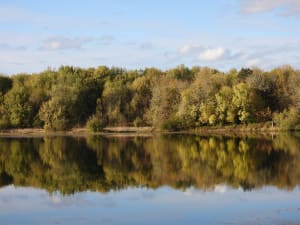 Reflection