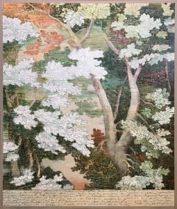 Bott_000002_689839_450886_10318_nsflly_1