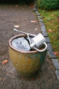 Planter with Watering Can