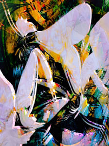 Stone Garden